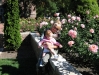 Rose Garden